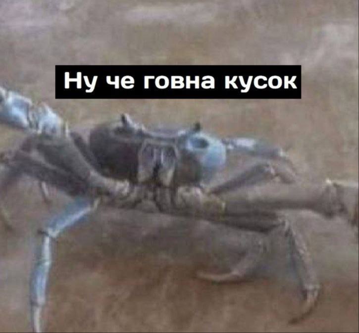 Ну че говна кусок