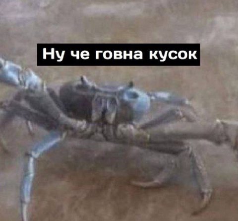 Ну че говна кусок
