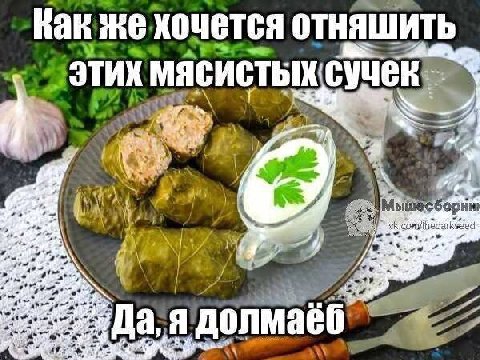 Как же хочется ОТНЯШИТЬ этих мясистых: сучек