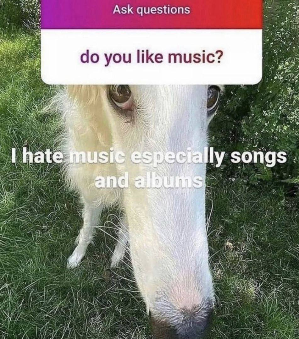 Ask questions you like music? at songs 4 AN