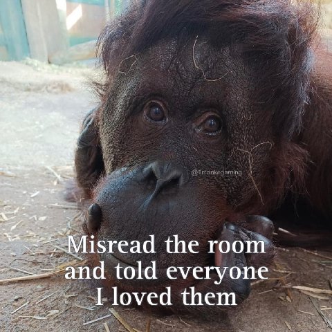 the room and told everyone I loved them