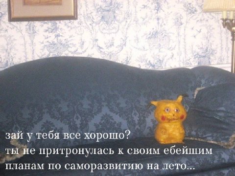 6 9 An заи у теоя все хорошо: ты He притронулась к своим ебейшим планам по саморазвитию на лето...
