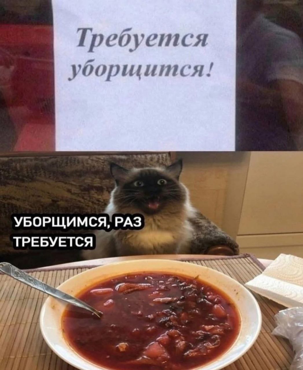 Требуется уборщится! УБОРЩИМСЯ!РАЗ ТРЕБУЕТСЯ