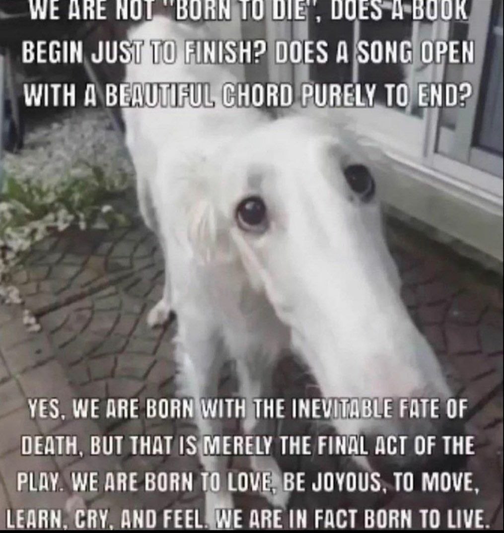 WE АВЕ НОГ. UIE BEGIN DOES A SONG OPEN WITH A PURELY ТО END? 4 YES, WE ARE BORN WITH THE INEVITABLE FATE OF DEATH. BUT THAT 15$ MERELY THE FINAL ACT OF THE BORN TO LOVE, BE JOYOUS. TO MOVE. LEARN. CRY