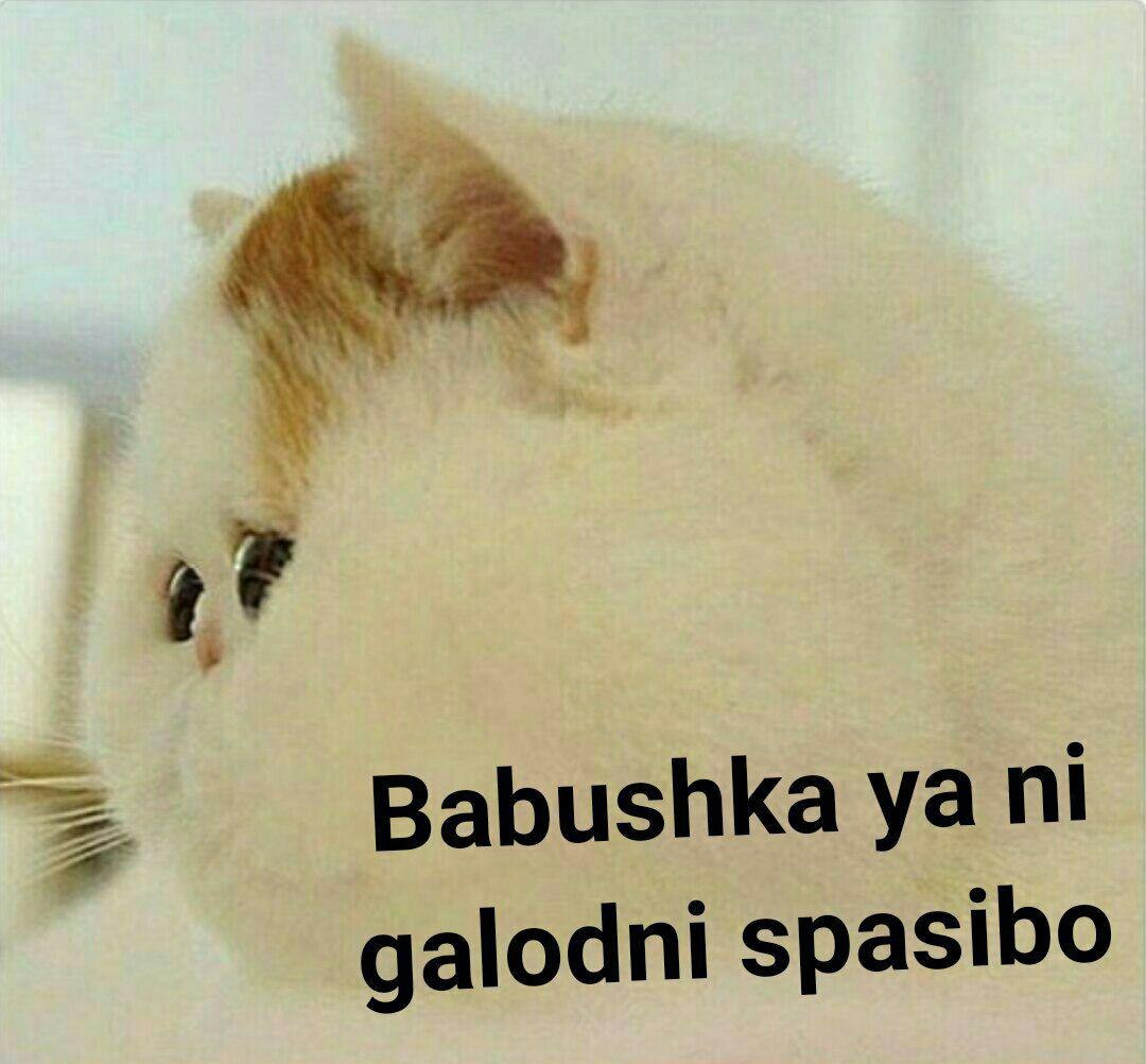 Babushka galodni spasibo