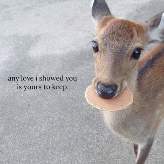 4, any love i showed you is yours to keep.