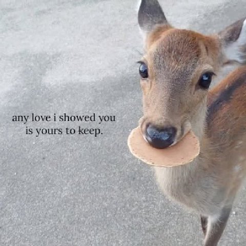 4, any love i showed you is yours to keep.