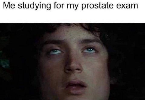 Me studying for my prostate exam