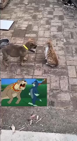 мем