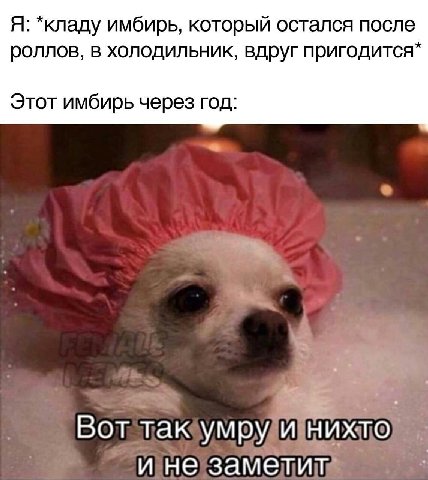 Я: *кладу имбирь, который остался после роллов, в холодильник, вдруг пригодится* Этот имбирь через год: Вот так умру и нихто и не заметит