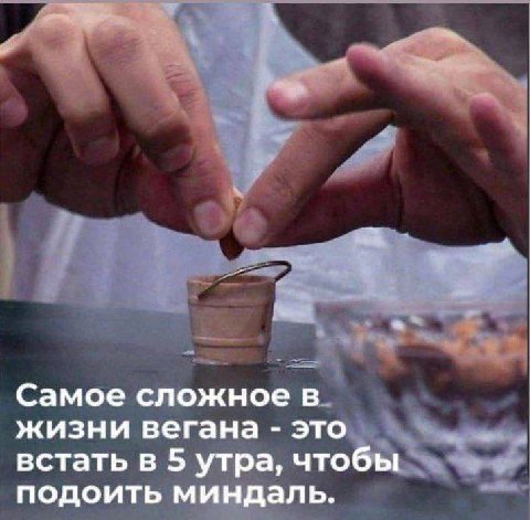 Самое сложное в жизни вегана это встать в 5 утра, чтобы подоить миндаль.