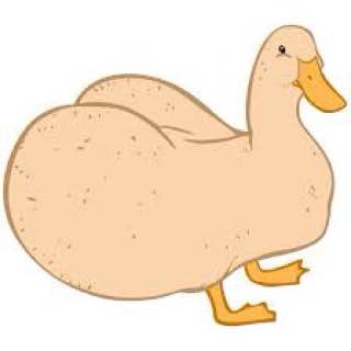 es