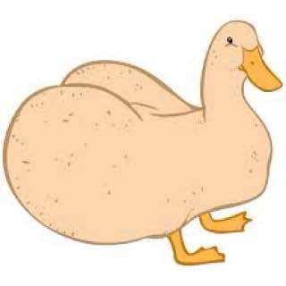 es