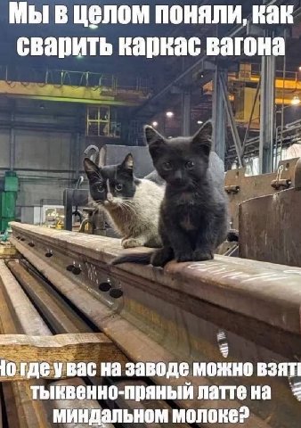 Мы в целом поняли, как сварить каркас вагона 10 где увас на заводе можно взят! тыквенно-пряный латте на миндальном молоке?