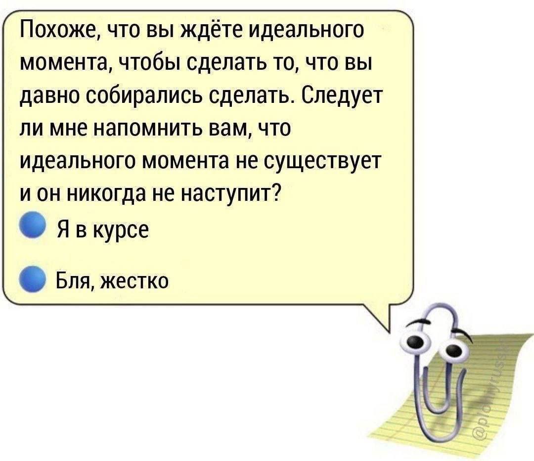 Похоже, что вы ждёте идеального момента, чтобы сделать то, что вы давно собирались сделать. Следует ли мне напомнить вам, что идеального момента не существует и он никогда не наступит? курсе Бля, жест