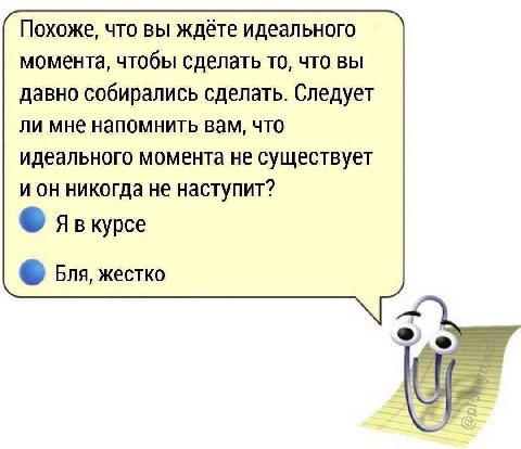 Похоже, что вы ждёте идеального момента, чтобы сделать то, что вы давно собирались сделать. Следует ли мне напомнить вам, что идеального момента не существует и он никогда не наступит? курсе Бля, жест