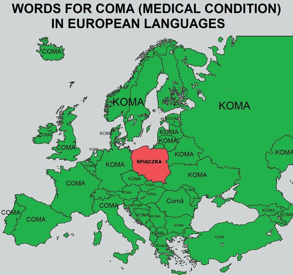 WORDS FOR COMA (MEDICAL CONDITION) IN EUROPEAN LAN GUAGE ком