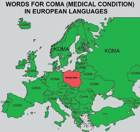 WORDS FOR COMA (MEDICAL CONDITION) IN EUROPEAN LAN GUAGE ком