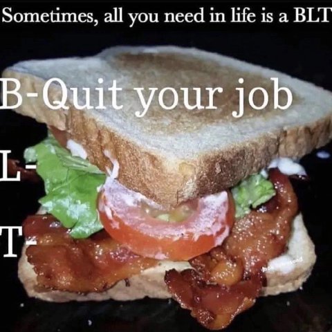 Sometimes, all you need in life is a