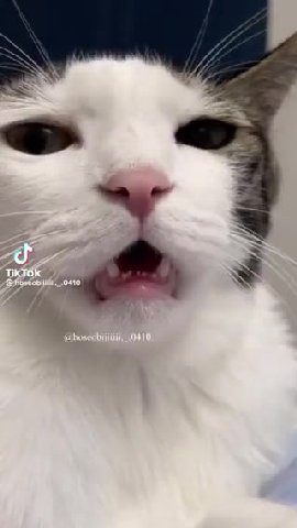 🔉