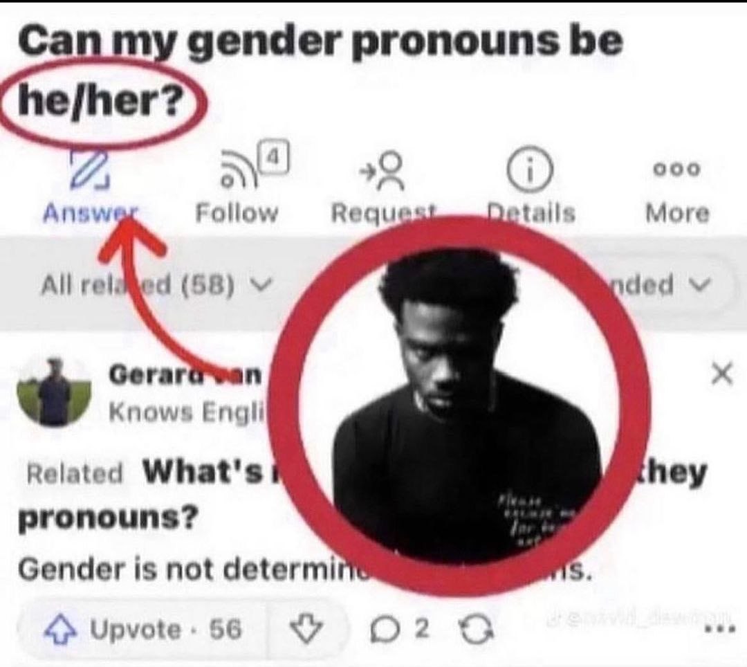 Саг gender pronouns be о [4] 900 Follow More All (58) Gerar Knows Related What's hey pronouns? Gender is not determi 56 О? Upvote