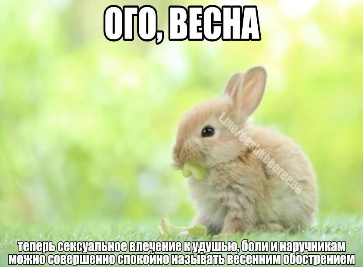 hen влечениек азыватьвесенним обострением