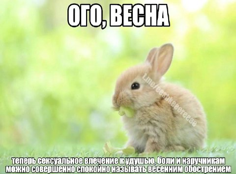 hen влечениек азыватьвесенним обострением