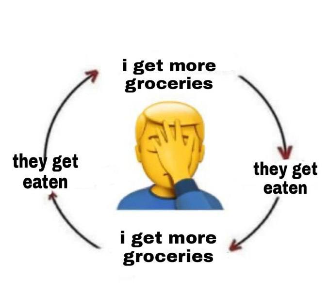 i get more groceries the get they get eaten eaten get more groceries
