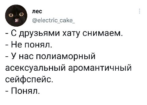 лес @electric_cake_ друзьями хату снимаем. Не понял. У Hac полиаморный асексуальный аромантичный сейфспейс. Понял.