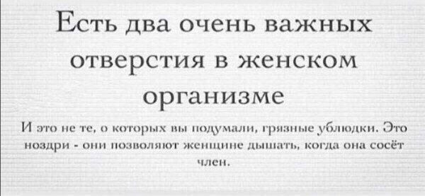 Есть два очень важных отверстия в женском организме И это не о которых вы подумали, грязные ублюдки. Это ноздри они позволяют женщине дышать, когда она сосёт член.