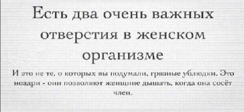 Есть два очень важных отверстия в женском организме И это не о которых вы подумали, грязные ублюдки. Это ноздри они позволяют женщине дышать, когда она сосёт член.