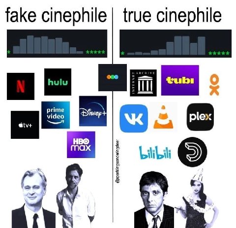 fake cinephile true cinephile «В