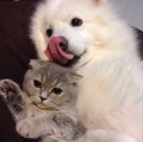 7 7 3