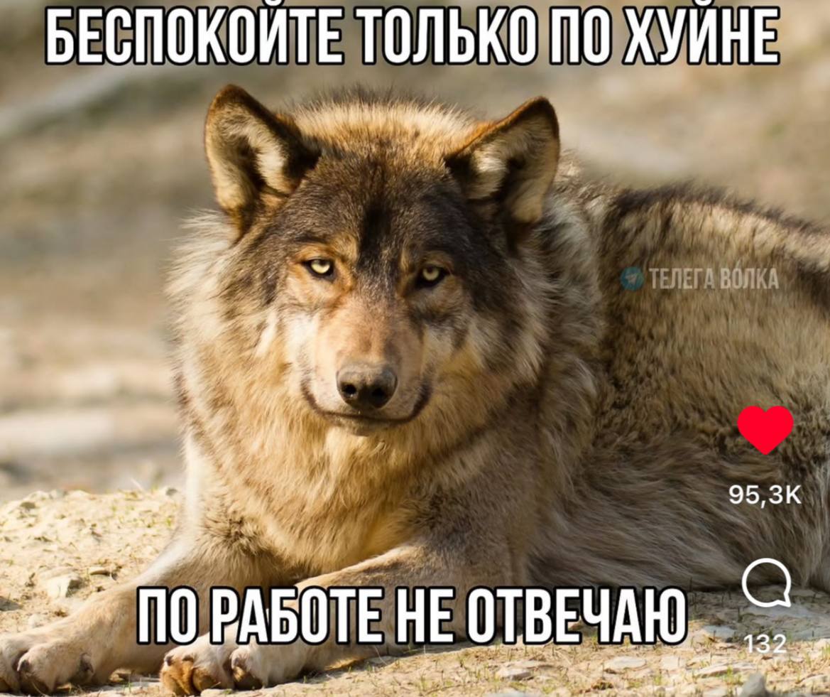 БЕСПОКОИТЕ ТОЛЬКО ПО ХУИНЕ 4 НЕ ОТВЕЧАЮ.