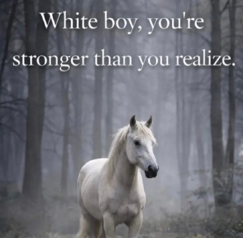 White boy, you're stronger than you realize.