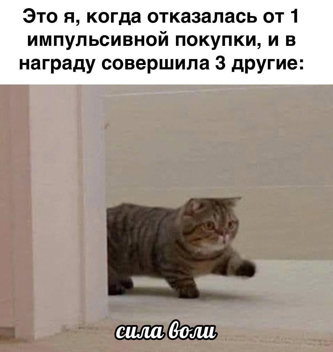 Это я, когда отказалась от 1 импульсивной покупки, и в награду совершила 3 другие: сила воли
