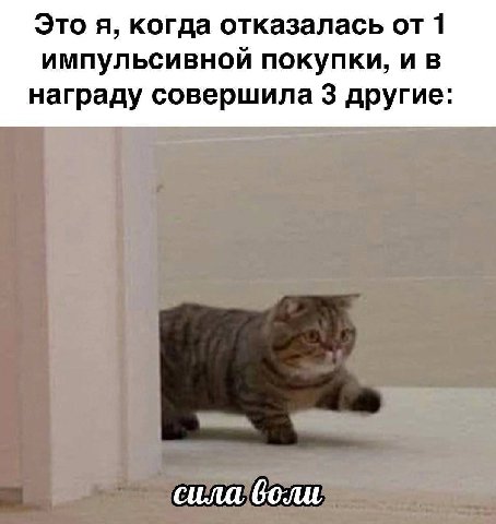 Это я, когда отказалась от 1 импульсивной покупки, и в награду совершила 3 другие: сила воли
