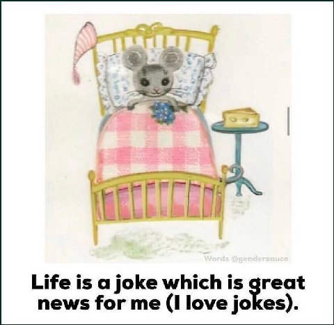 Life is a joke which is great news for me (I love jokes).