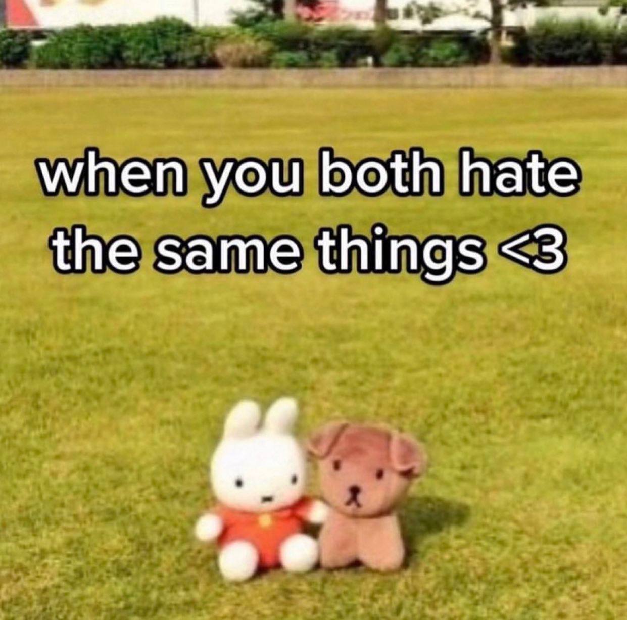 when you both hate the same things <3