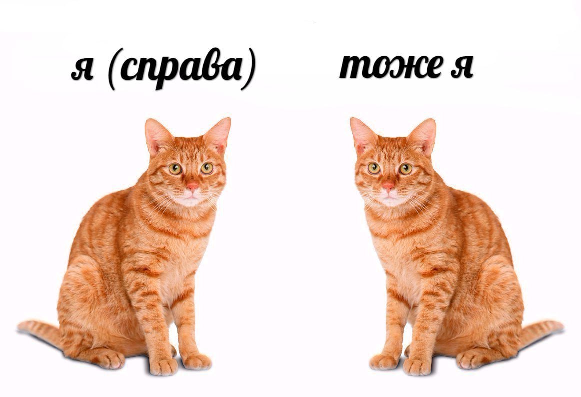 тоже я я (справа) it 7,