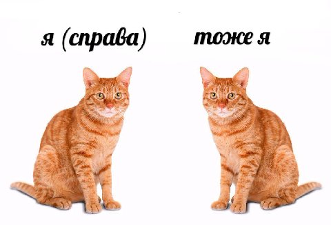 тоже я я (справа) it 7,