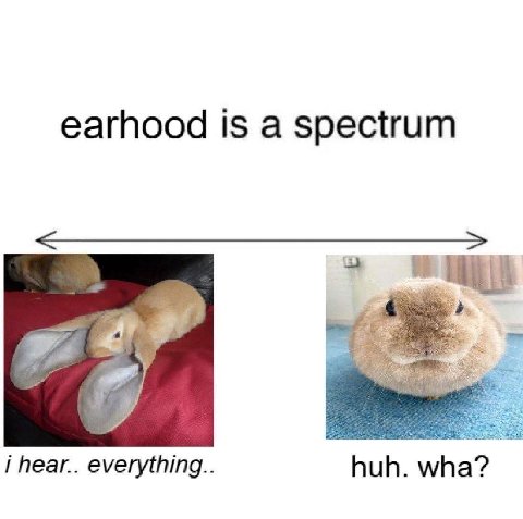 earhood is a spectrum i hear.. everything.. huh. wha?