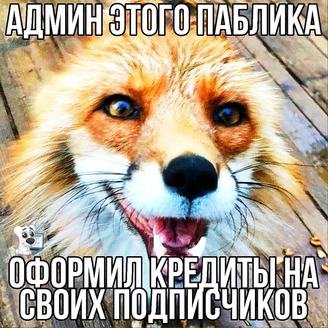 ДМИ РМИЛК ВОИ ОДП