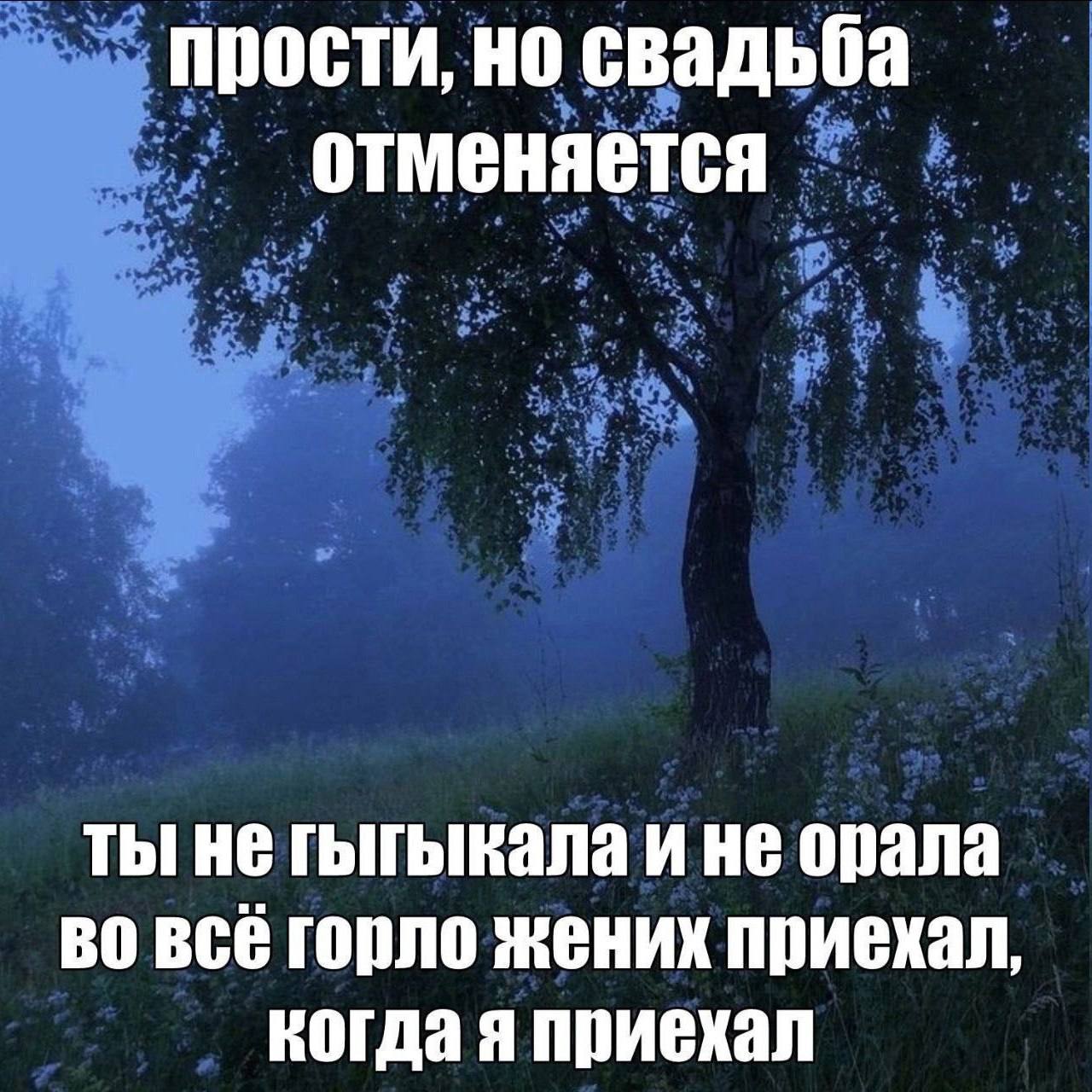 прости, но свадьба отменяется ты не гыгыкала и не орала всё горло жених приехал, когда я приехал
