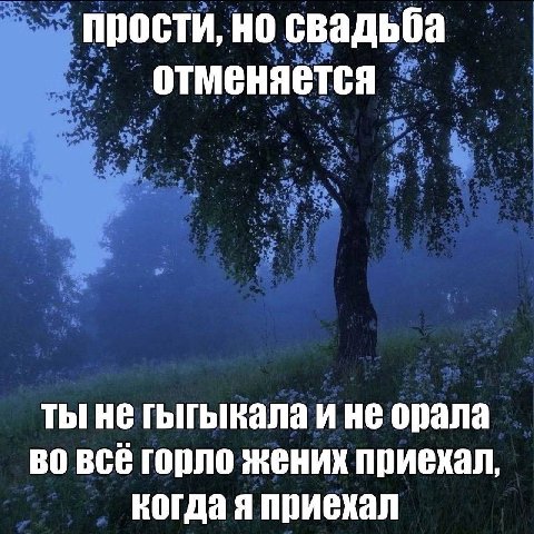 прости, но свадьба отменяется ты не гыгыкала и не орала всё горло жених приехал, когда я приехал