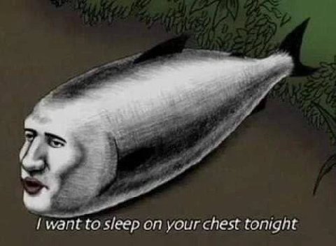 want to sleep on your chest tonight