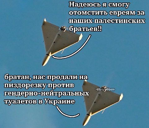 Надеюсь я смогу отомстить евреям за наших палестинских братьев!! братан, нас продали на пиздорезку против гендерно-нейтральных туалетов в Украине