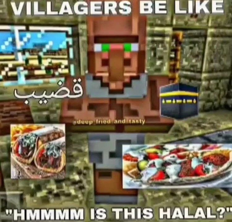 VILLAGERS LIKE "НММММ IS HALAL?"