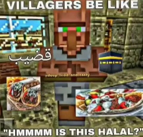 VILLAGERS LIKE "НММММ IS HALAL?"