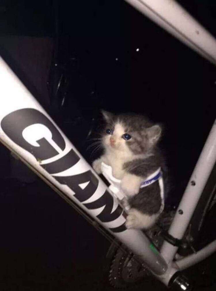 У